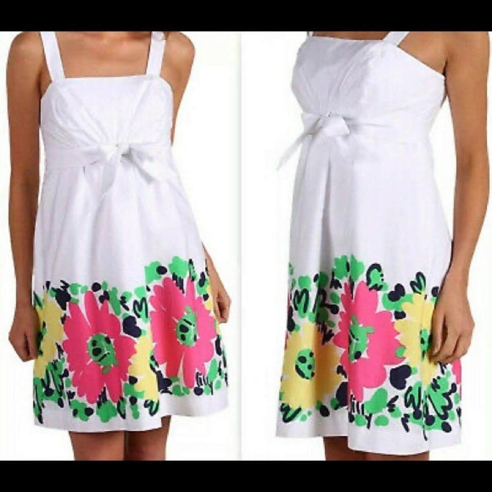 Lily Pulitzer Avaline Doodle Bug Dress NWT - Picture 2 of 10